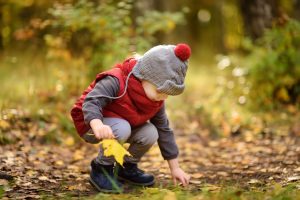 Herbstfreuden: Ein kleiner Junge liest Blätter auf.