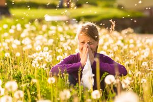 Was hilft bei Heuschnupfen und anderen Allergien? Infos und Tipps jetzt MENSCHENSKINDER! Foto: Adobe Stock / Kzenon